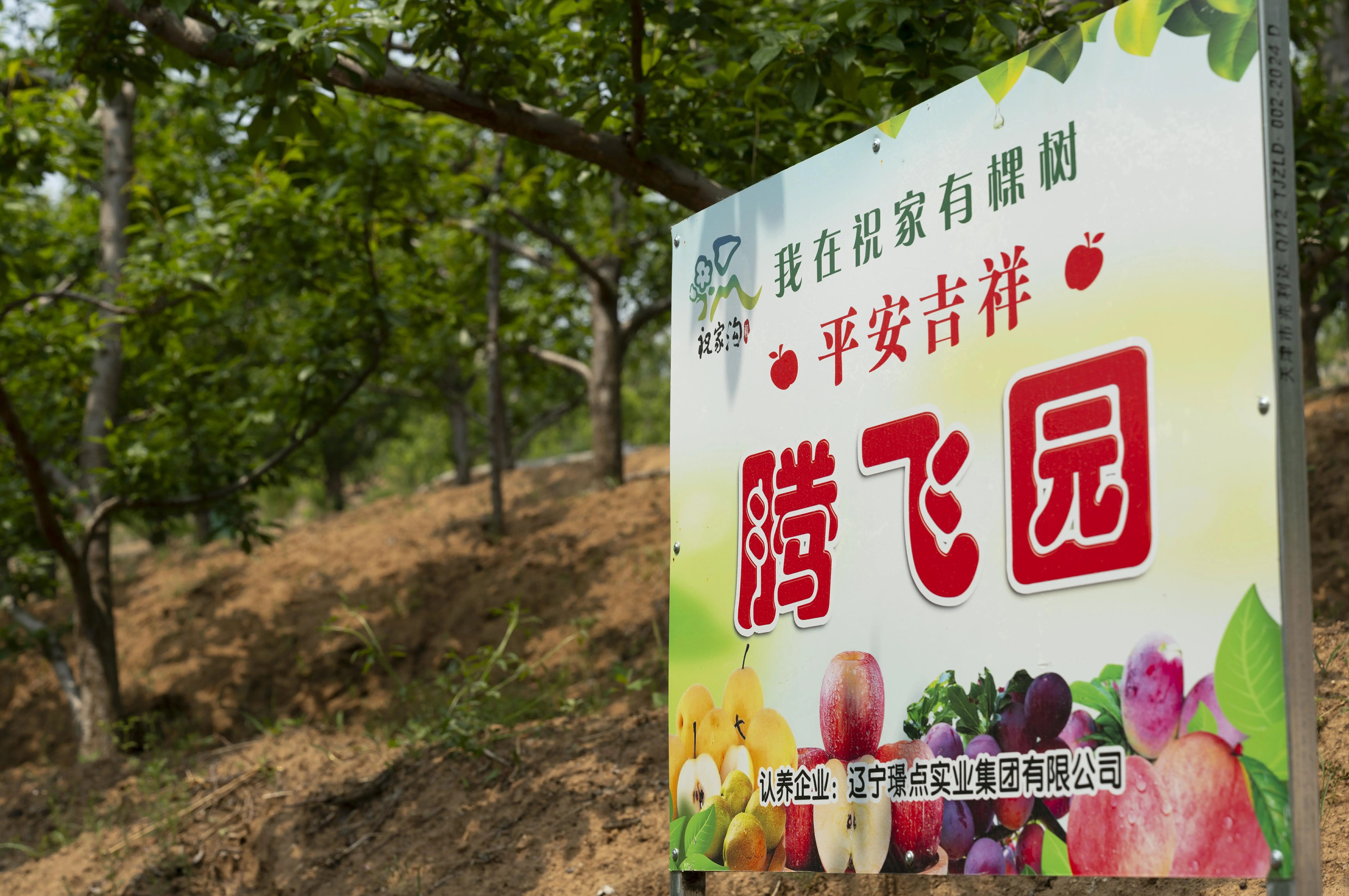 【有远见 选璟点】认养“腾飞园”！璟点台球集团多措并举构建乡村振兴“共富链”！