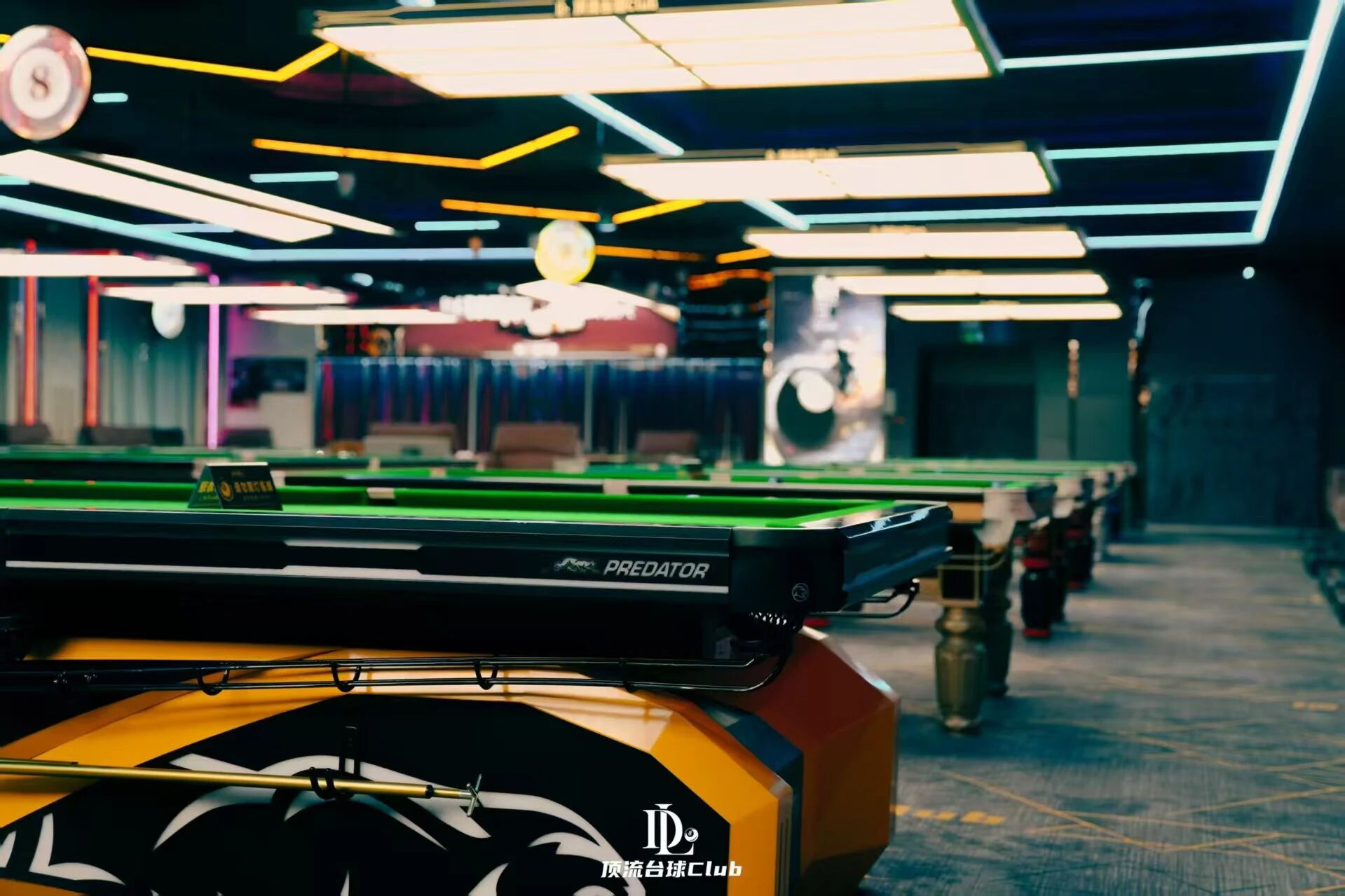 降维打击 惊艳甘肃！合金豹助力酒泉顶流台球俱乐部真正“豹”发影响力！